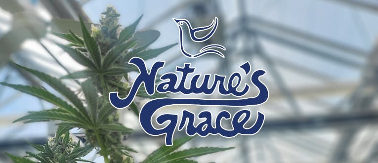 Hot $60 Half Ounce Deals